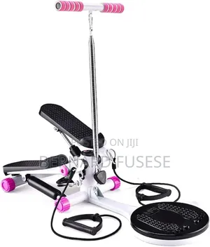 Mini Stepper With Waist Twister
