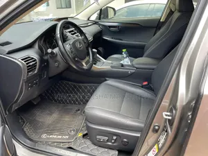 Lexus NX 300 AWD 2019 Gray