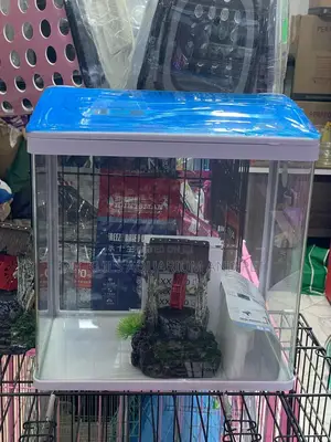 1 Feet Aquarium ( Miss Princes Aquarium )