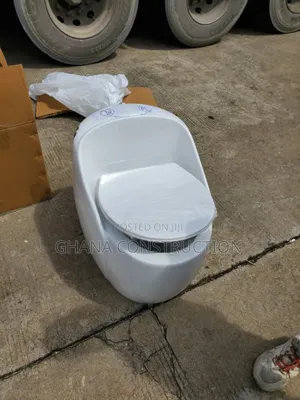 Quality Executive Modern Water Closet Wc Latest Design