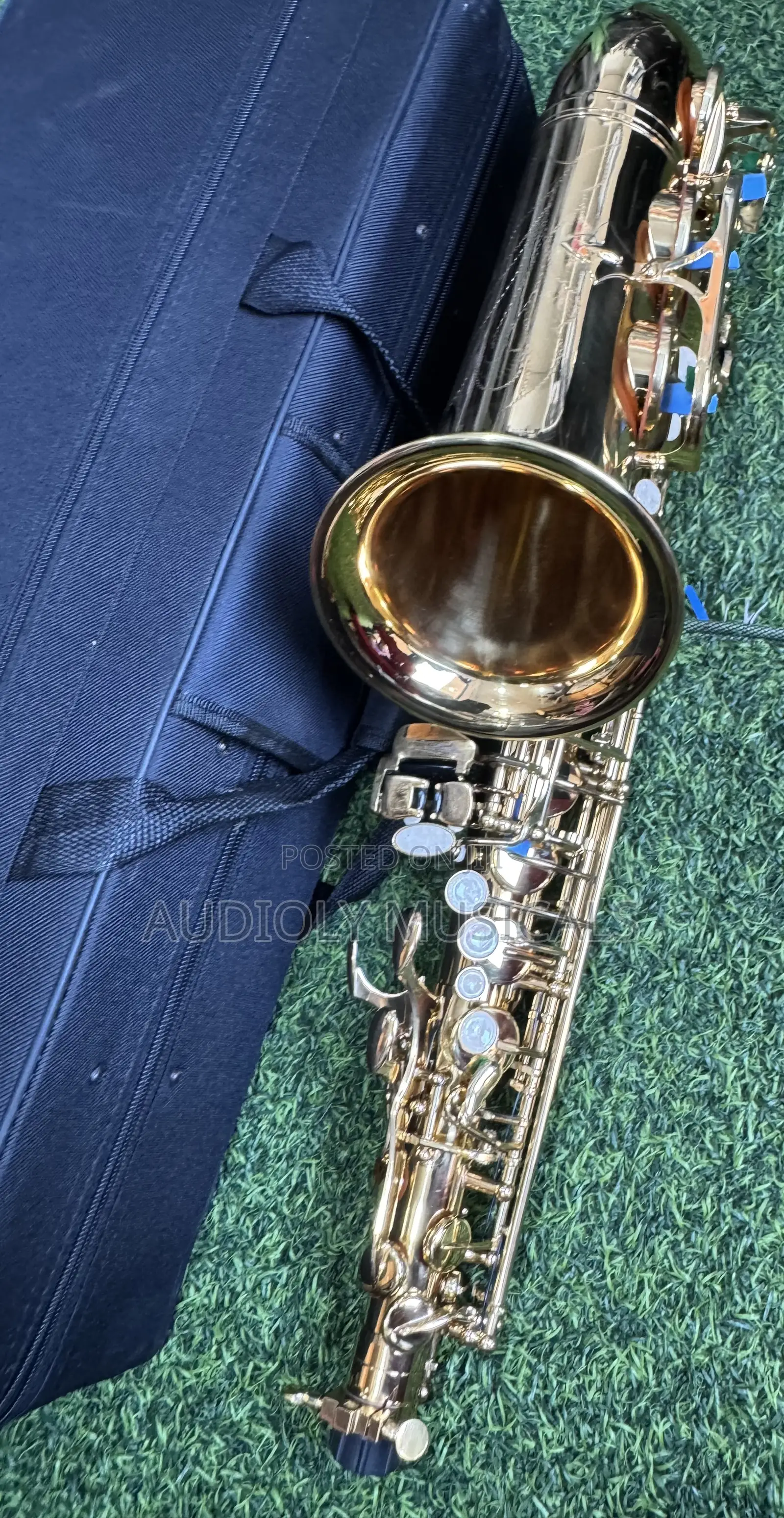 Saxophone/Alto- Suck