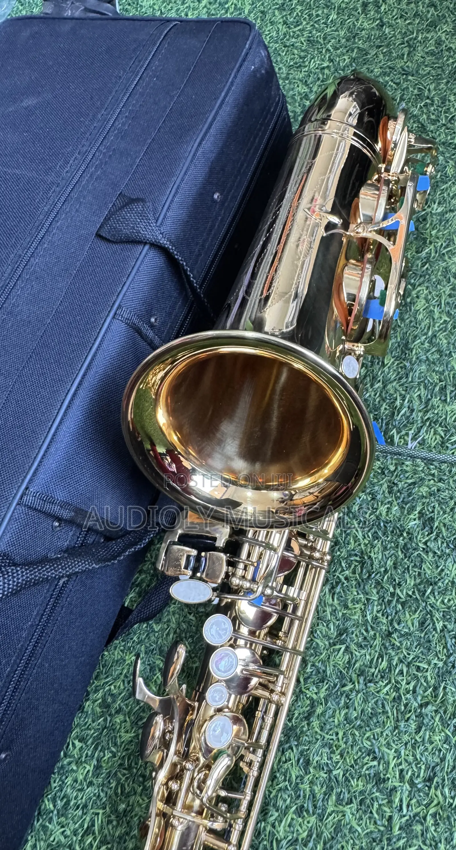 Saxophone/Alto- Suck
