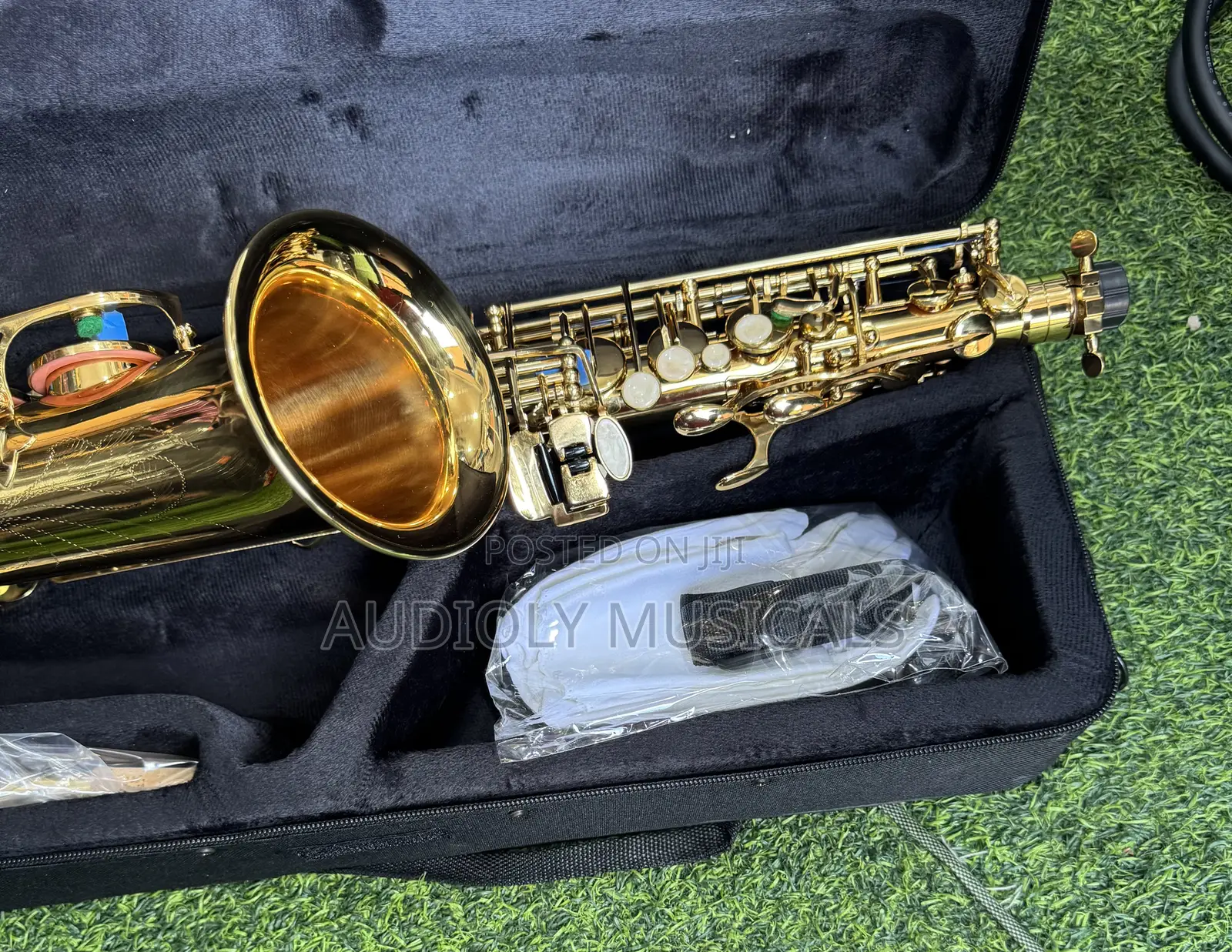 Saxophone/Alto- Suck