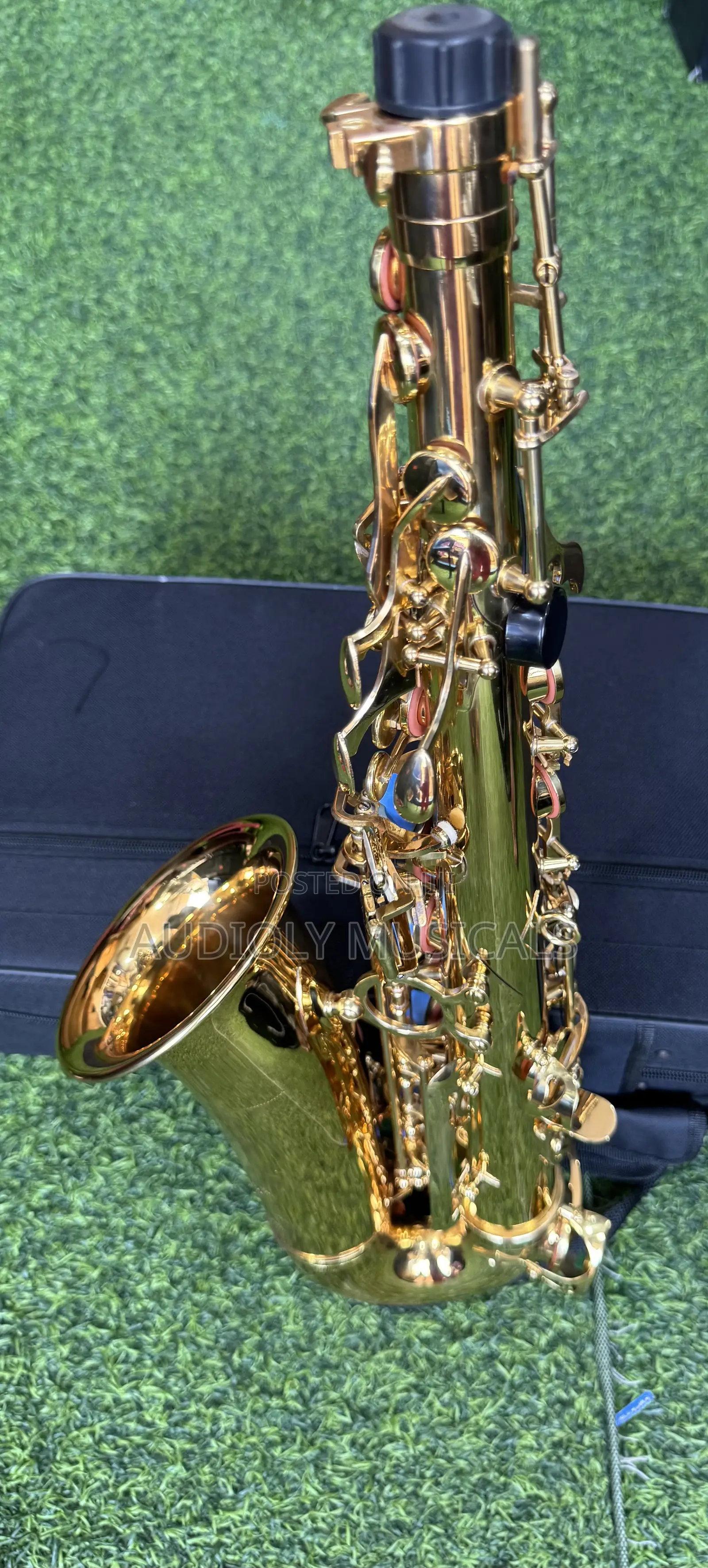 Saxophone/Alto- Suck