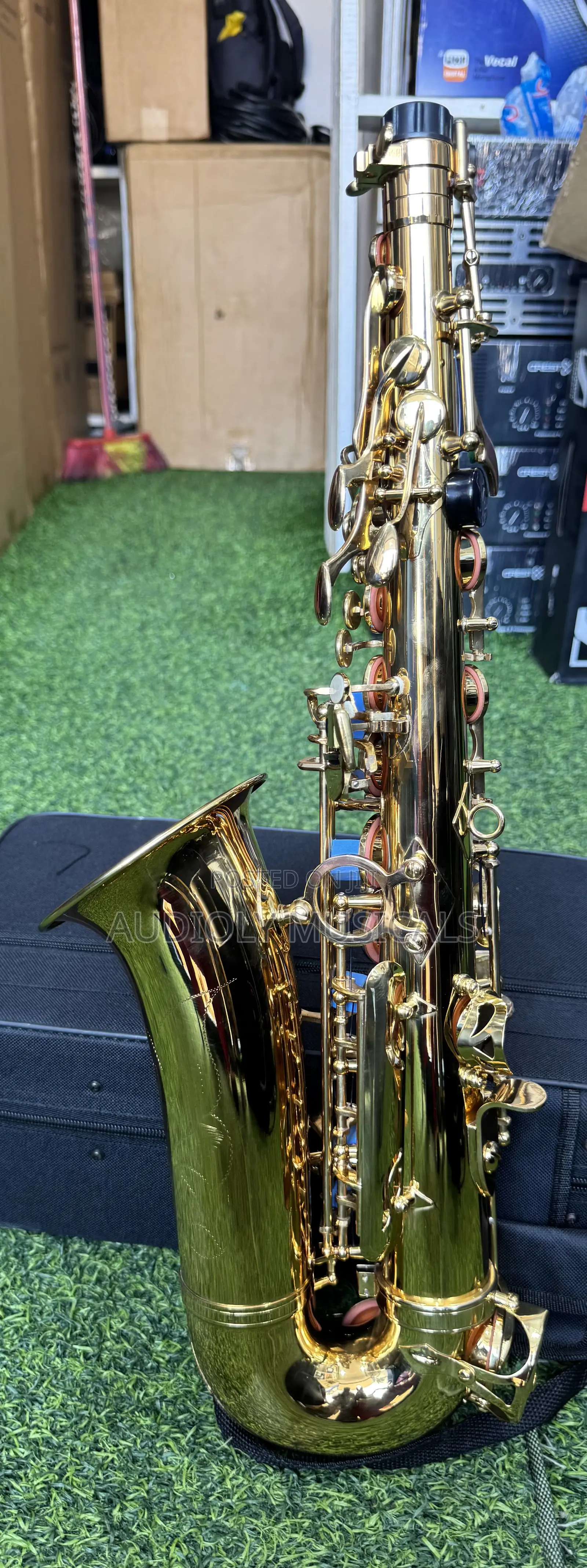 Saxophone/Alto- Suck