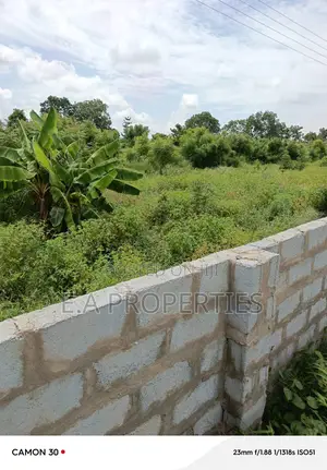 Land Is Title