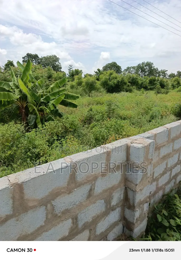 Land Is Title