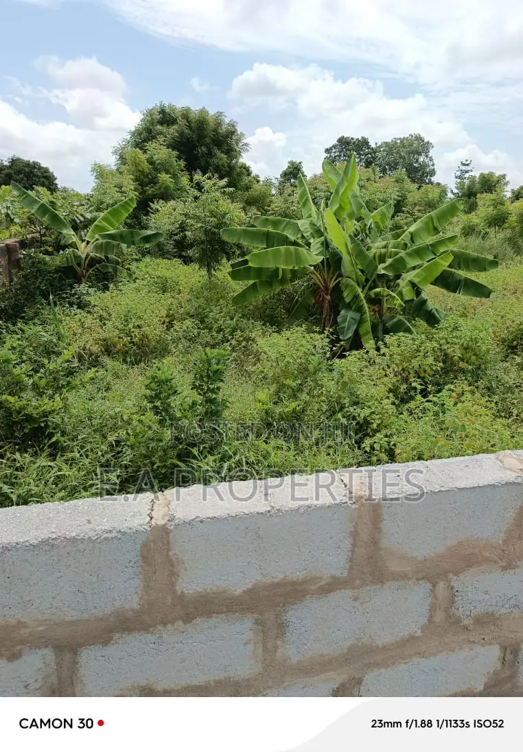 Land Is Title
