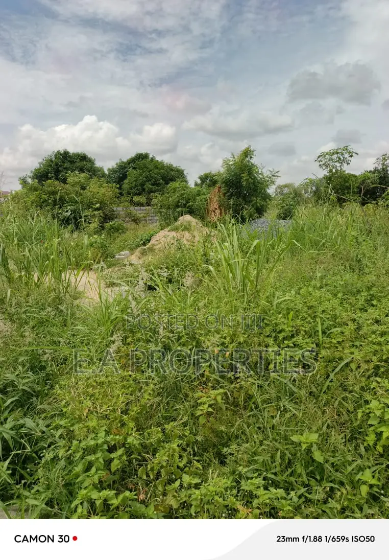 Land Is Title
