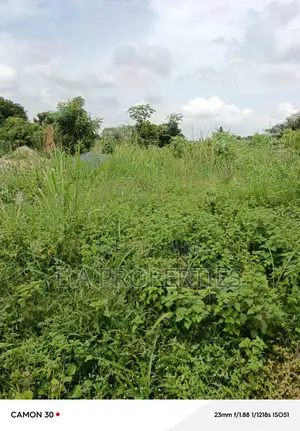 Land Is Title