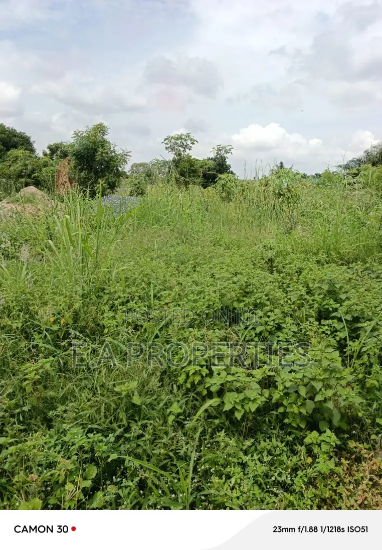 Land Is Title