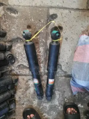 Toyota Rav 4 2017 Back Shocks Absorbers