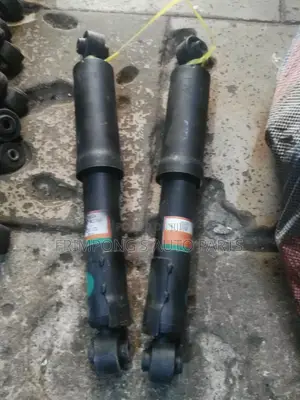Toyota Rav 4 2017 Back Shocks Absorbers