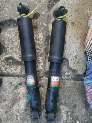 Toyota Rav 4 2017 Back Shocks Absorbers