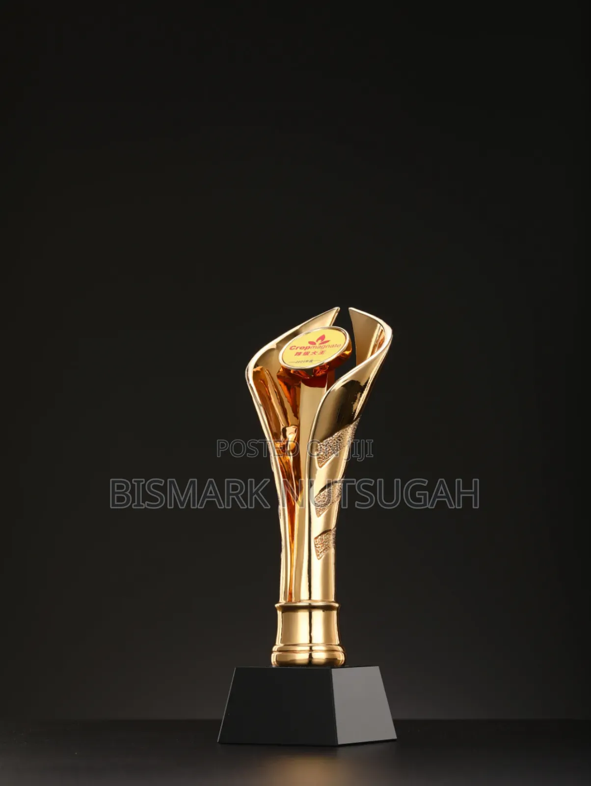 Award Crystal Glass Plaque Trophy