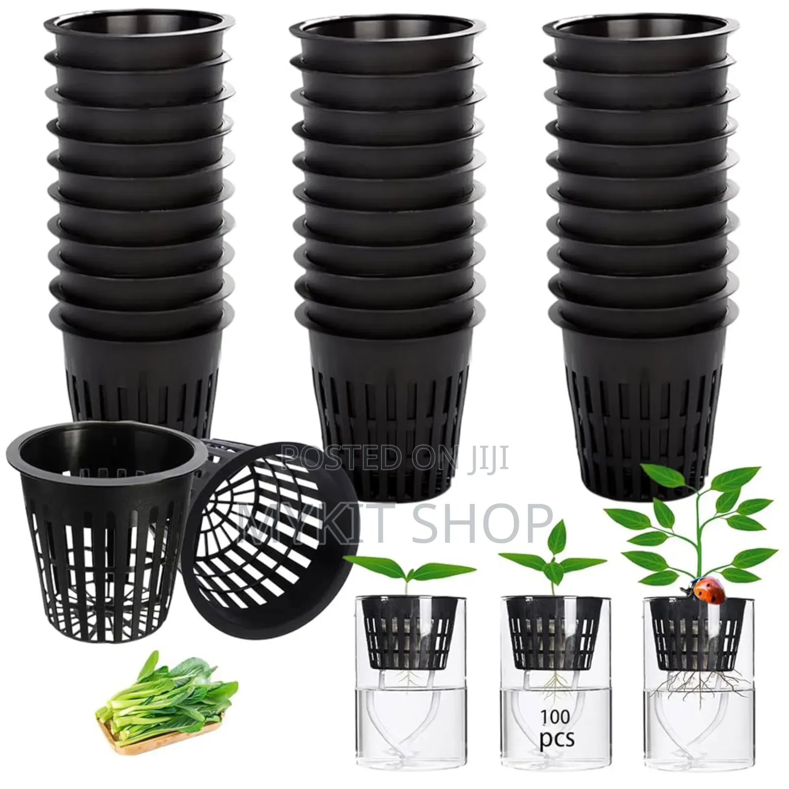 Hydroponic Cups