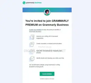 Grammarly Premium Account for 1 Year (Shared Account)