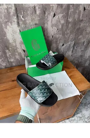Big Ray Slides