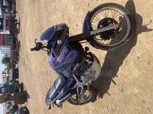 Kawasaki 1995 Blue