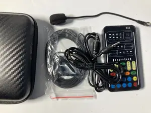 Voice Changing Device