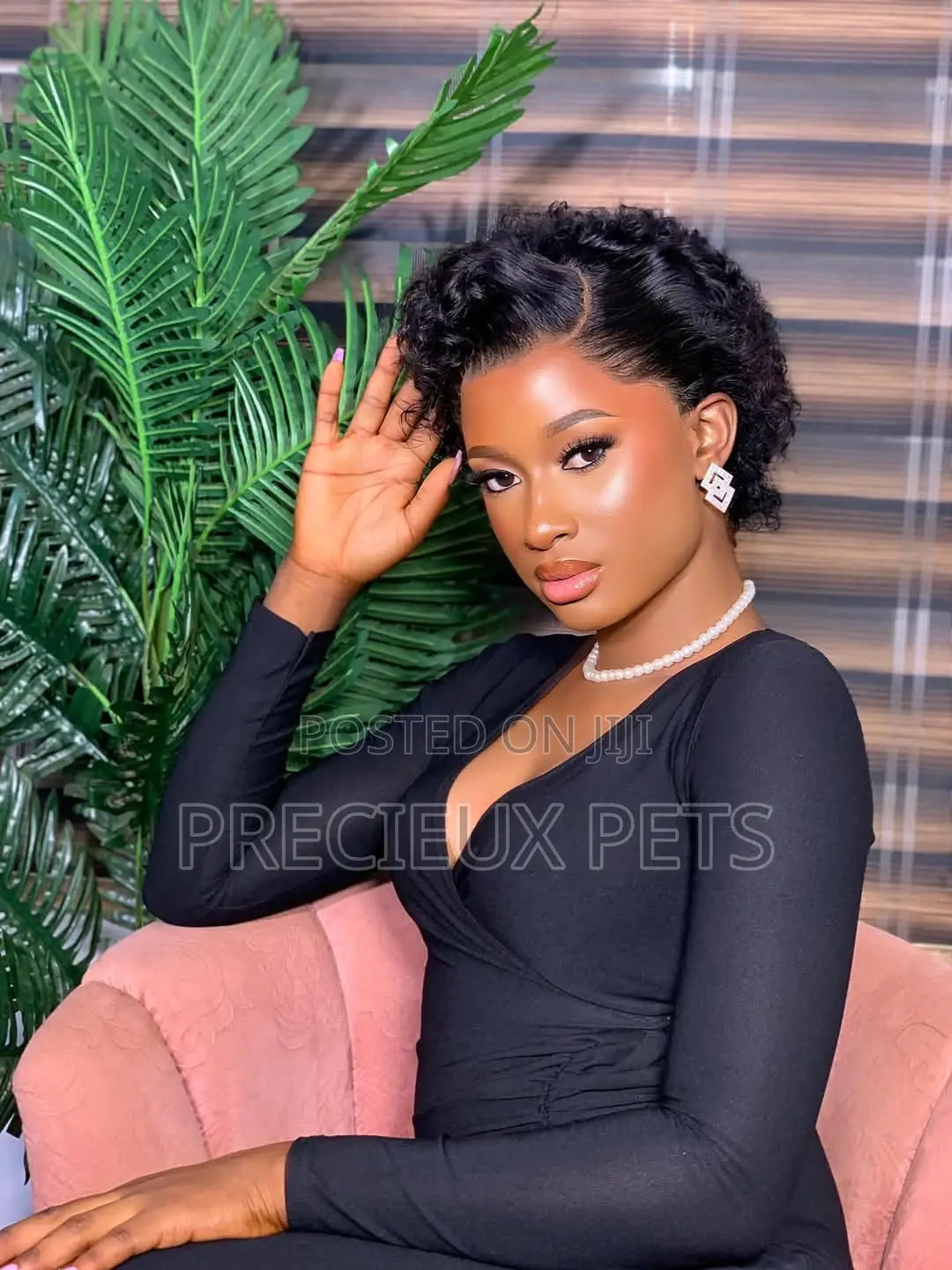 Wet Curls 5500