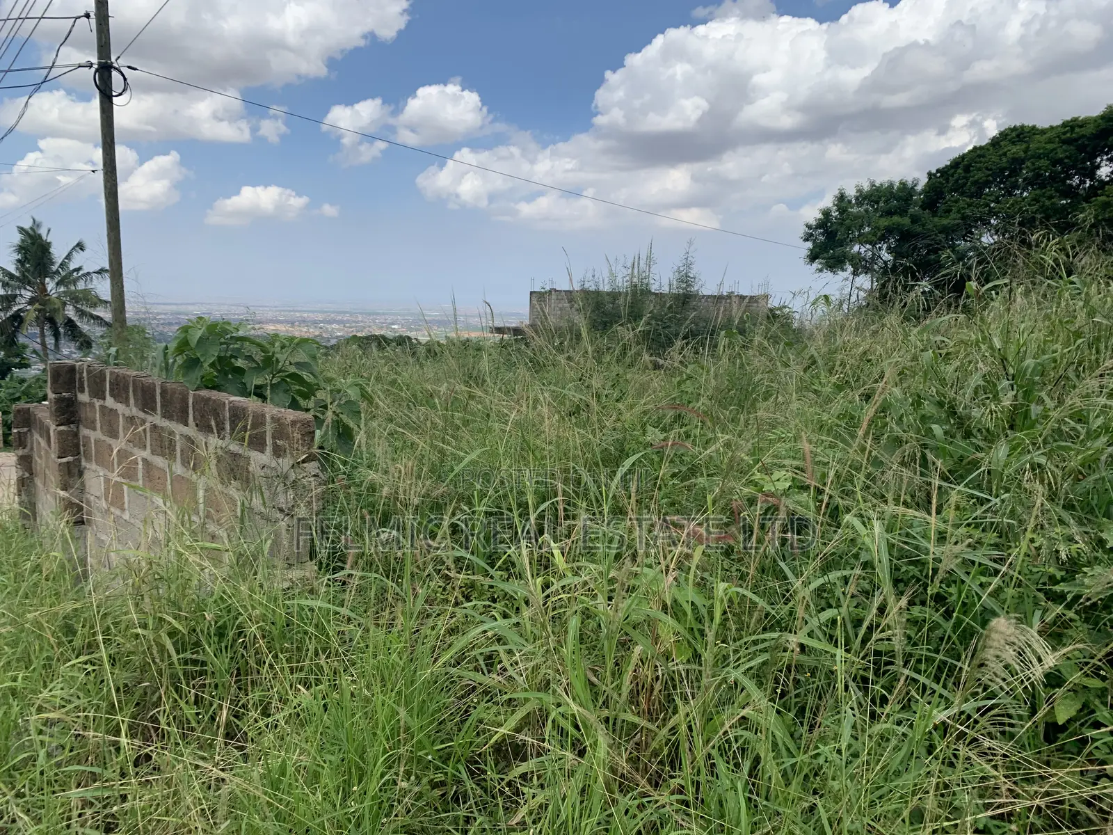 1 Plot of Land at Peduase Springfield Estate for Sale