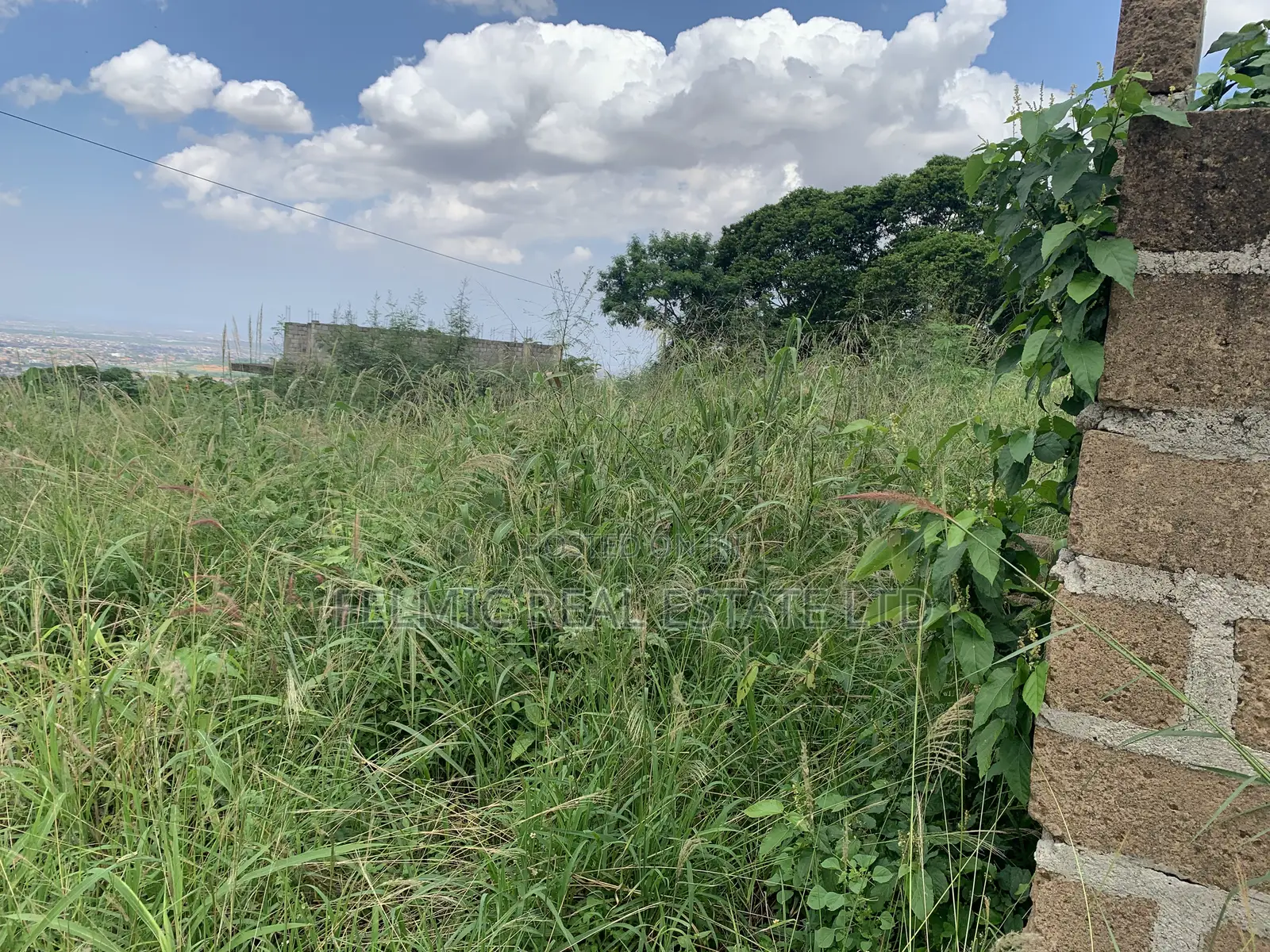 1 Plot of Land at Peduase Springfield Estate for Sale