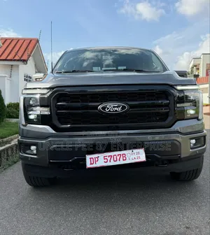Ford F-150 2025 Gray