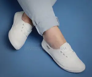 Canvas Shoe