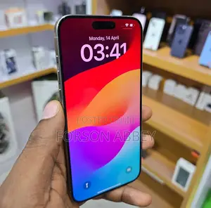 Apple iPhone 15 Pro Max 256 GB Silver