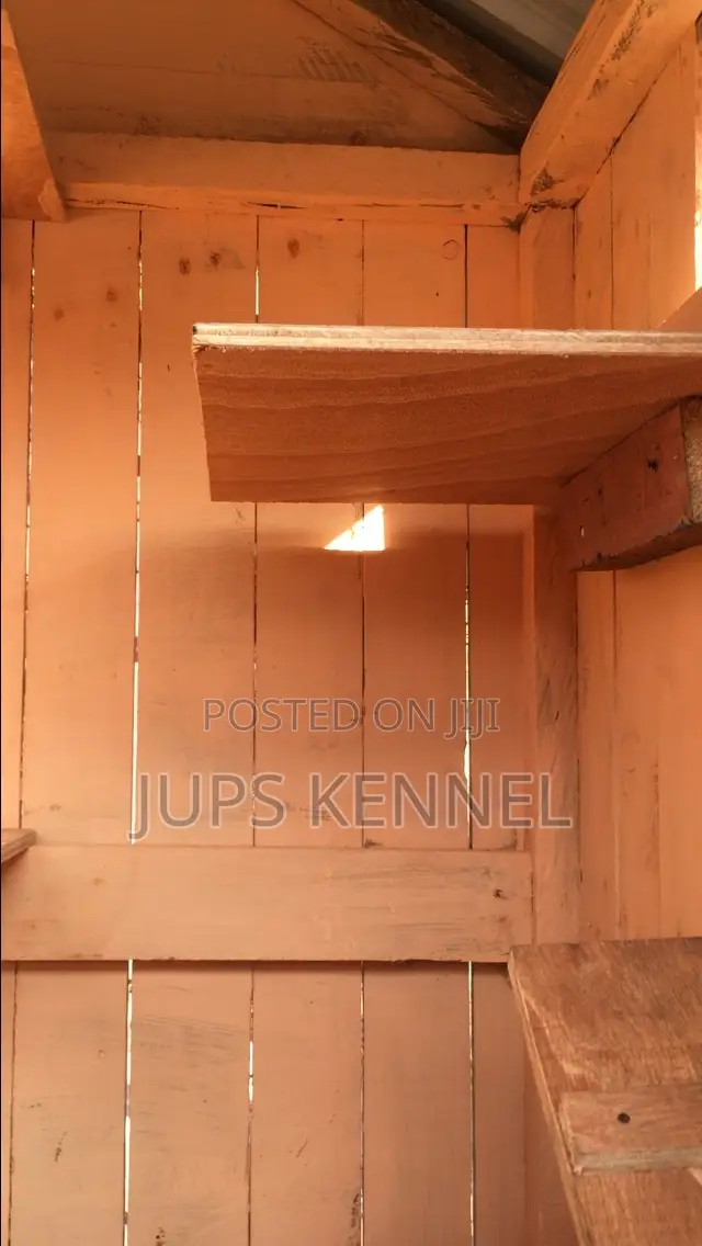 Kennel (Dog Cage)