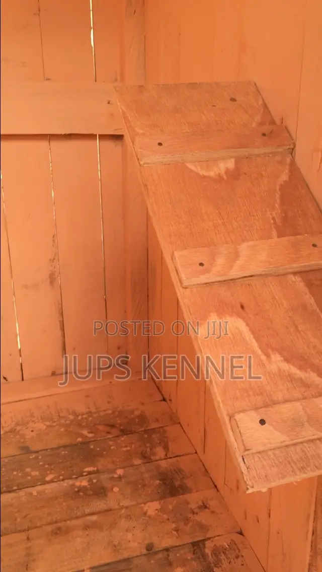 Kennel (Dog Cage)
