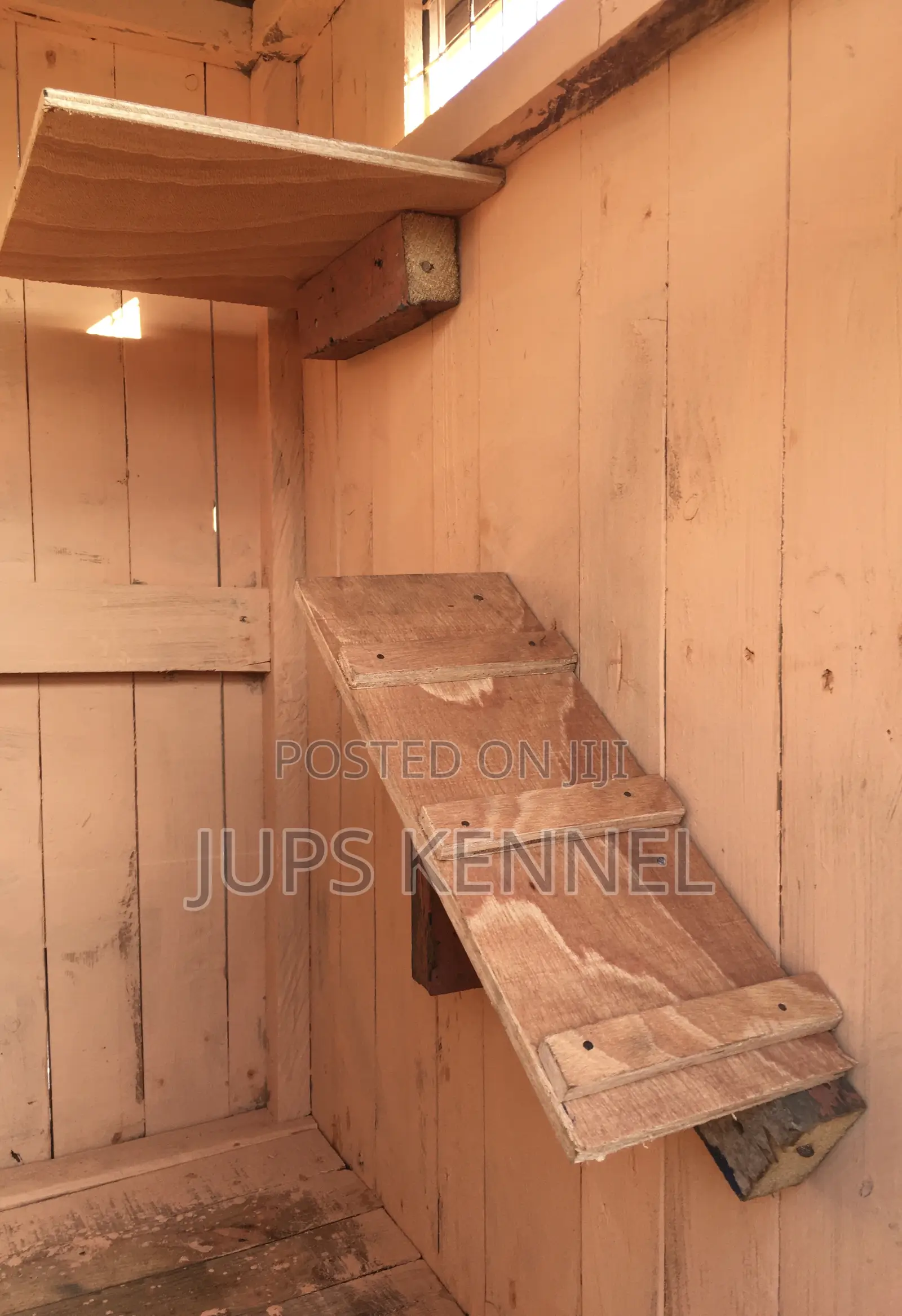 Kennel (Dog Cage)