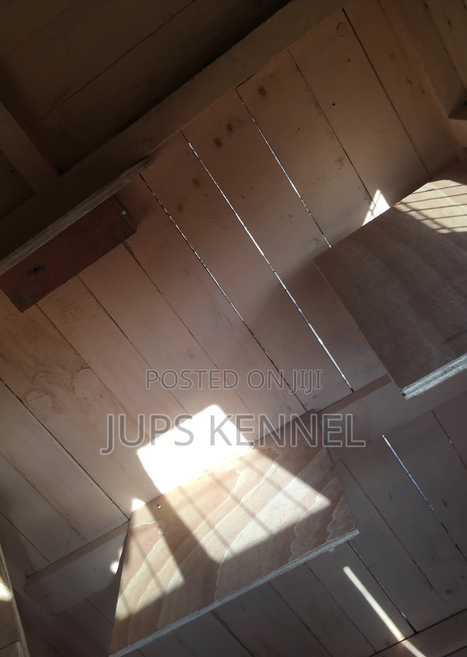 Kennel (Dog Cage)