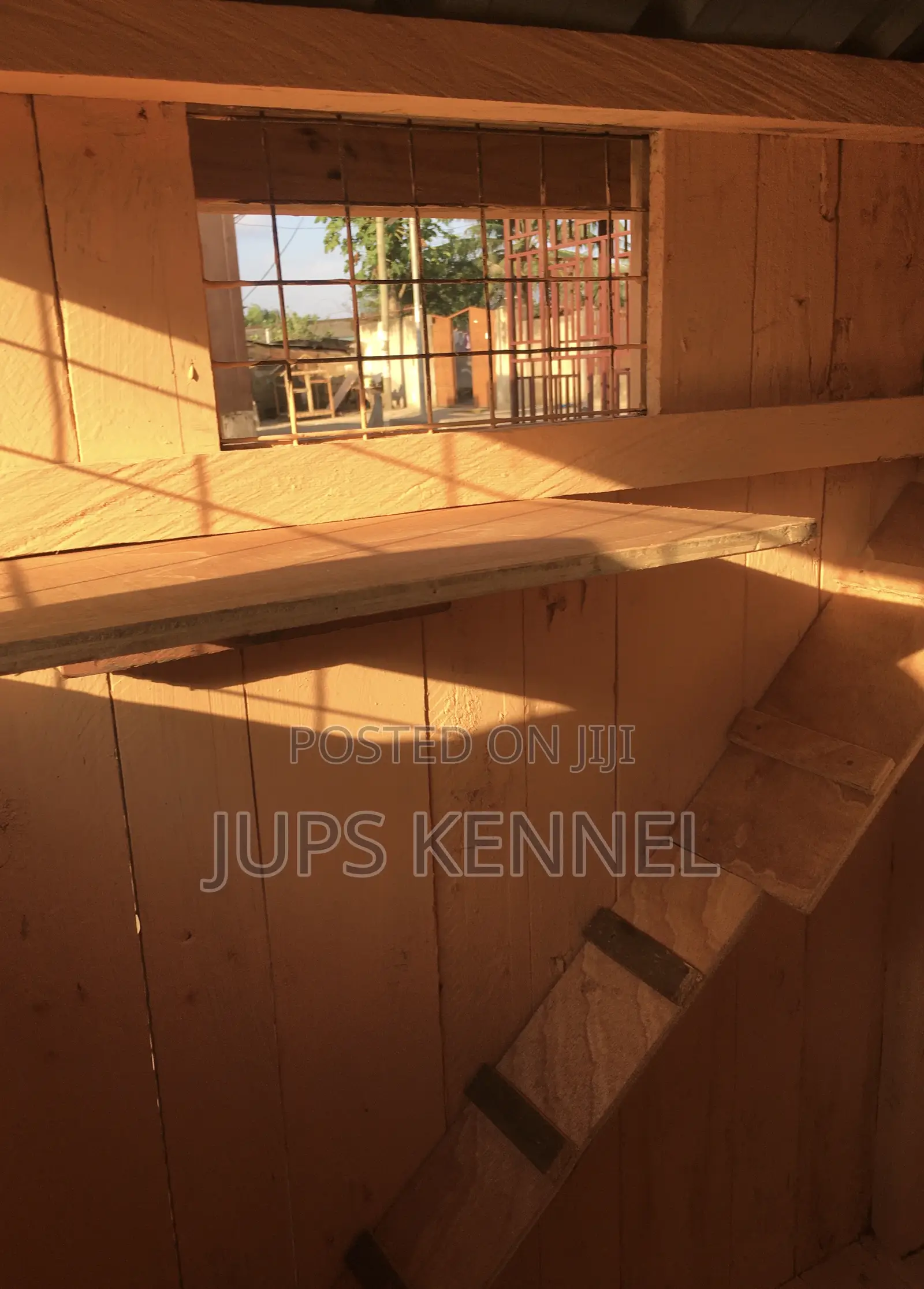Kennel (Dog Cage)