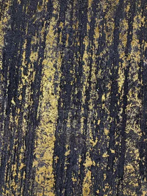 Silk Paster Design