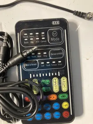 Voice Changing Device
