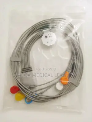 Holter Ecg Cable 2 Channel