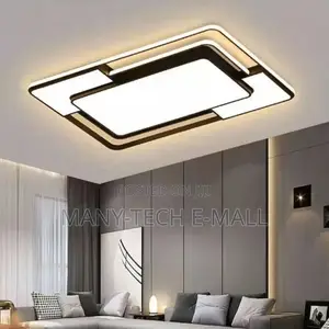 Brand New Hall Ceiling Light