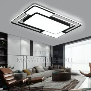 Brand New Hall Ceiling Light