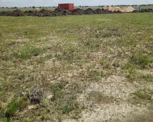 Rush Clearance Sales on Plot