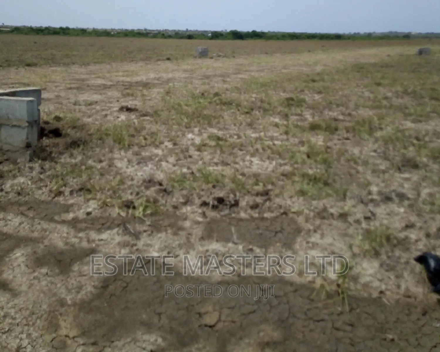 Rush Clearance Sales on Plot
