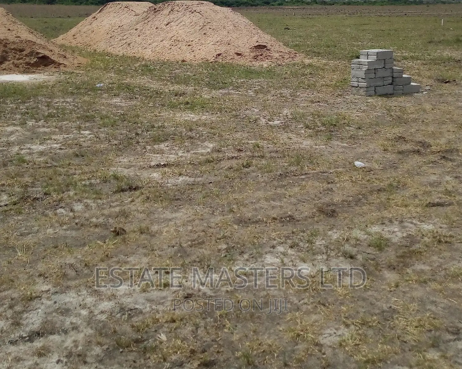 Rush Clearance Sales on Plot