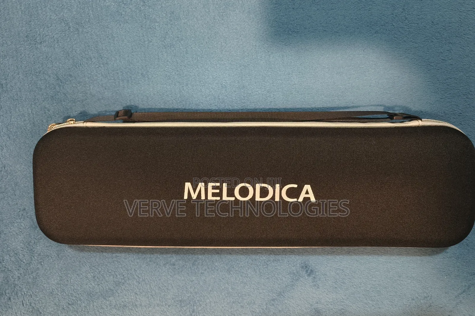 Professional Melodica Keyboard Reed Organ Harmonica
