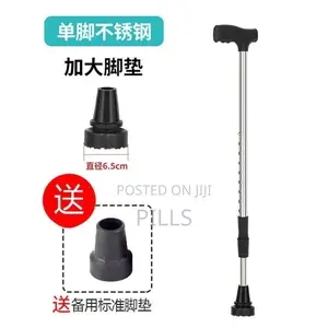 Walking Stick Available