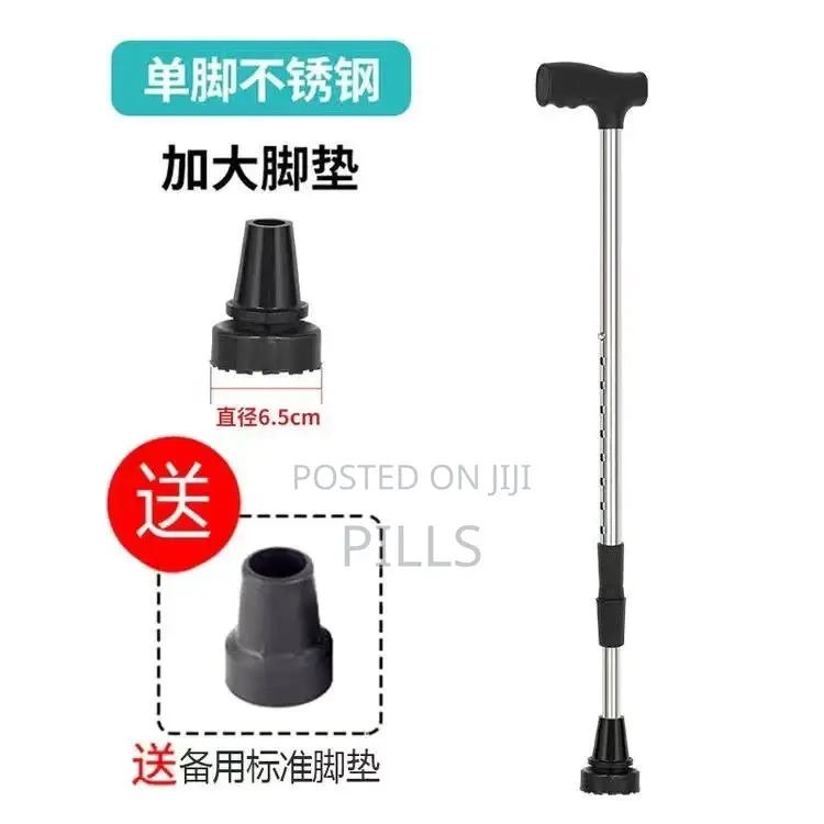 Walking Stick Available