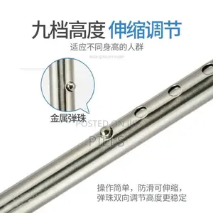 Walking Stick Available