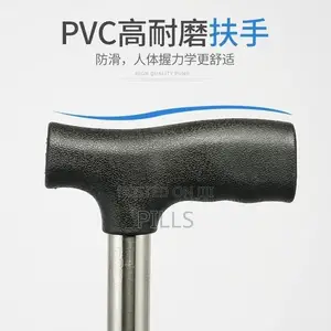 Walking Stick Available