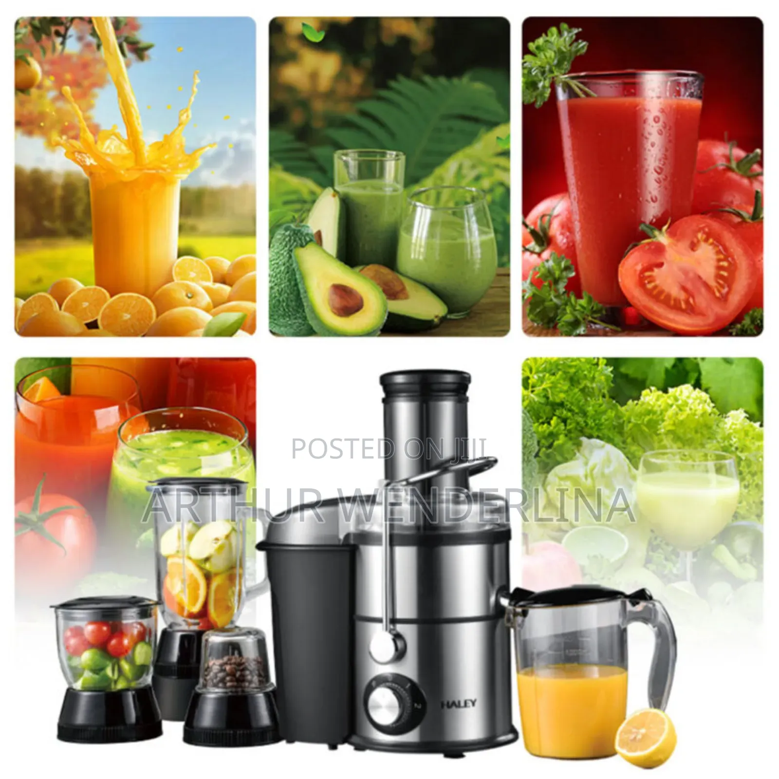 Haley Juicer 4 in 1 Jars 1800 Watt