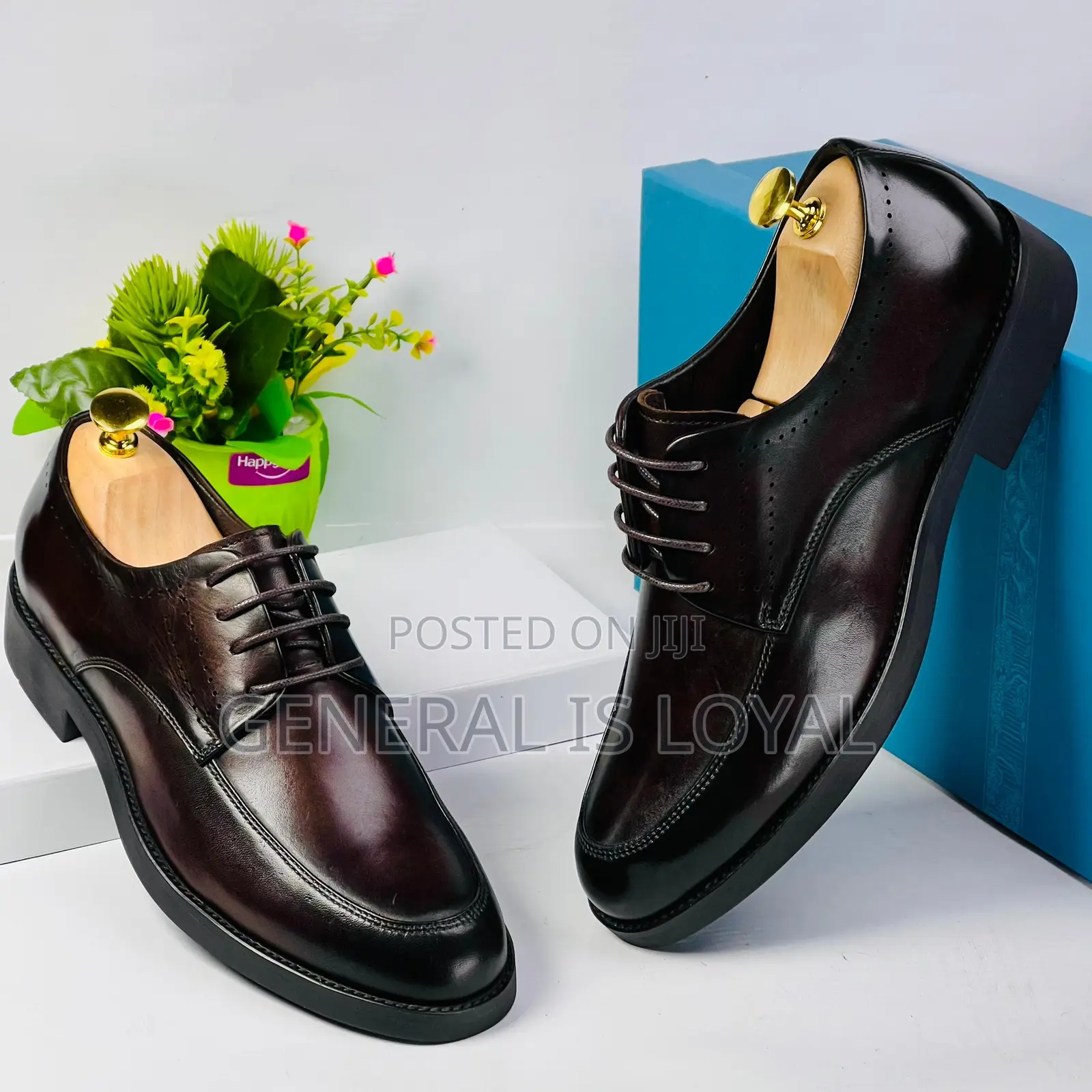 Steve Riots Lace Dark Coffee Shoe